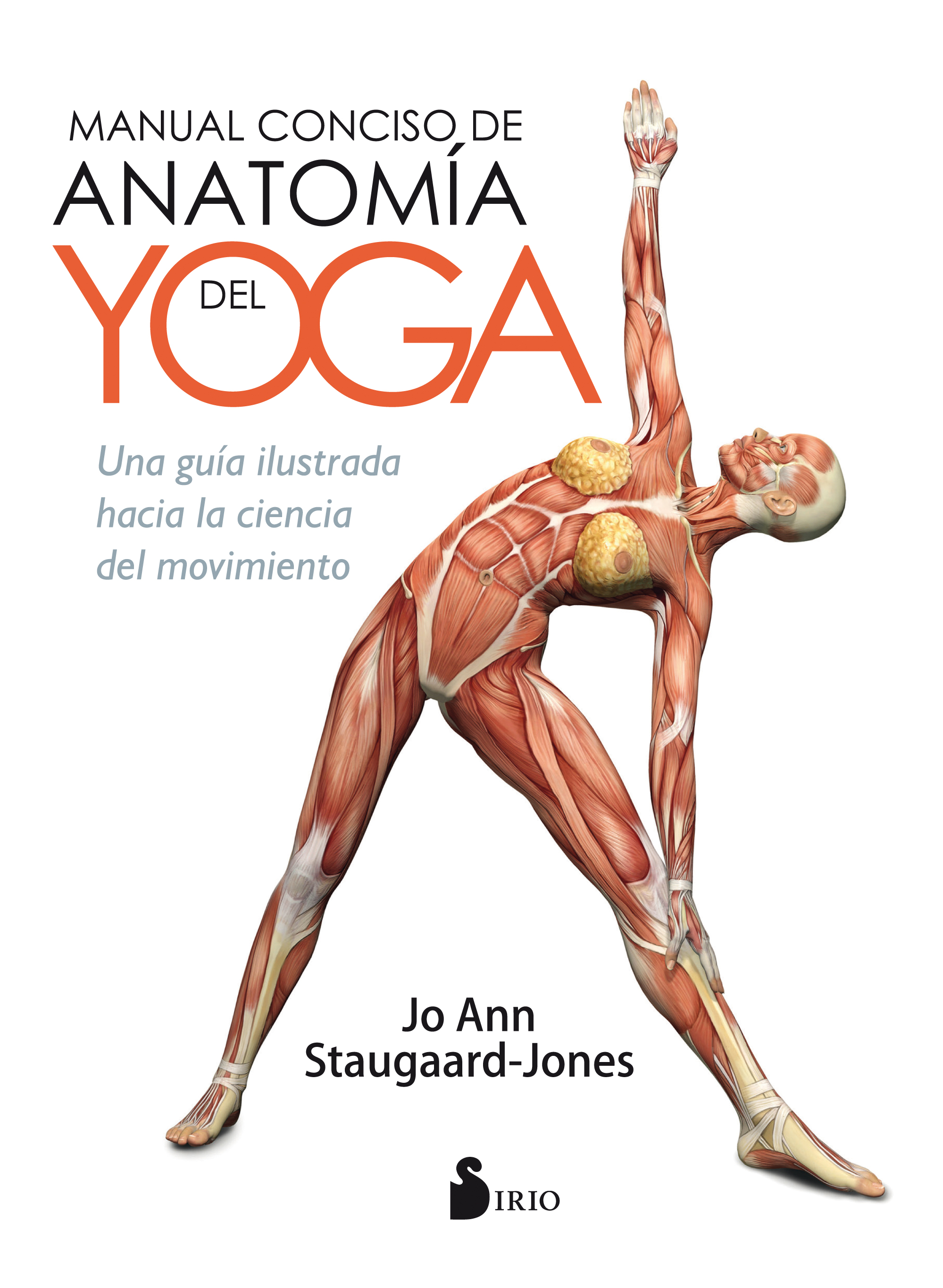 MANUAL CONCISO DE ANATOMIA DEL YOGA                                   